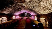Viña Concha y Toro Premium Tour (half day)