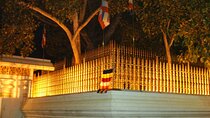Anuradhapura And Aukana All Inclusive Day Tour From Negombo