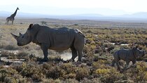 Arusha: 3Day Tanzanian Treasures Safari, Ngorongoro, Tarangire