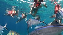 Private Catamaran Tour to Isla Mujeres