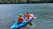 2 Hours Canoe Rental on the Saône 