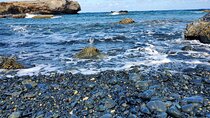 Half-Day Jeep Tour in Aruba