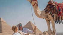 Cairo &Giza VIP 8 hours tour Pyramids, Museum,expert Guide,pickup