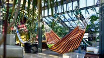 Széchenyi Thermal Spa Palm House Pass - Exclusive Area