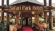 Safari Park dinner with live band music and cat dance show.