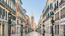 Private 2-hour waking tour of Malaga, Roman Theatre and Alcazaba