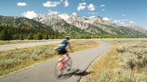 Grand Teton Half Day Private Bike Tour 