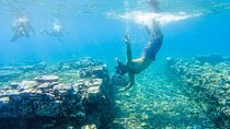 Ancient Corinth, Mycenae & snorkelling in sunken city private