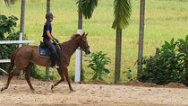 4-Hour Horse Riding in Nuwara Eliya