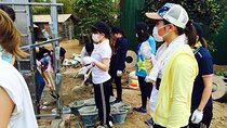 Volunteer project & Angkor ruins sightseeing