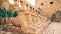 Luxor 1 Night Tours Balloon & Sound and Light Cairo show by air.