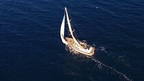 7 Hour Private Sailing Tour of Formentera Beaches 