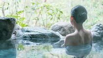 Full-Day Enoura Observatory and Hakone Hot Spring Private Tour