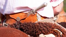 Traditional Gaucho Festival Full Day Tour from Buenos Aires