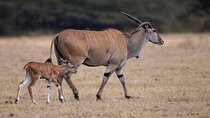 Off the Beaten Track Safari in Arusha Tanzania