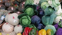 Testaccio Street Food Tour Eat Like a Local