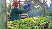 Around Bromo Farming Experience