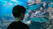 Corfu Aquarium Ticket with Tour Included