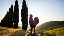 Semi Private Deep Wine Chianti and San Gimignano from Florence