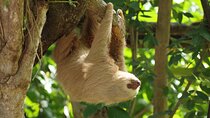 Skip the Line: Diamante Eco Adventure Park: Animal Sanctuary Discovery Ticket