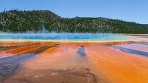 Full Day Yellowstone Nat'l Park Tour From West Yellowstone