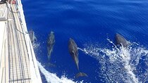 Private Full Day Cruise Tour in Naxos Town