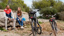 Nice Electric Bike Rental
