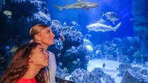 SEA LIFE Munich Admission Ticket