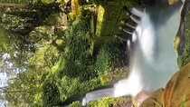 Ubud Shamanic Healing and Purification Ceremony