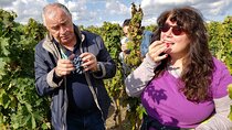 Wild Abruzzo CookingClass and WineTasting from Rome