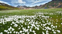 3 Days Iceland Private Super Jeep Tour Highlands & Golden Circle