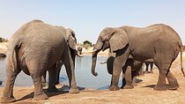 5 Days Victoria Falls, Hwange Full Day and Chobe Full Day Tour