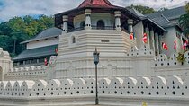 Kandy & Pinnawala Elephant Orphanage Day Trip from Negombo