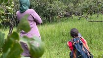 Rhino Tracking Adventure at Ziwa Rhino Sanctuary & Wildlife Ranch