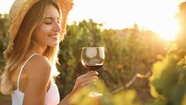 Wineries Tour and Wine Tastings in Chianti Hills from Florence