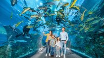 Dubai Aquarium with Various Animal Encounter and Access Options