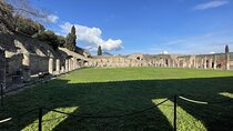  Guided Tour Pompeii And Vesuvius from Positano Skip the Line