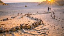 Private Tour in Fayoum for 2 Days and 1 Night 