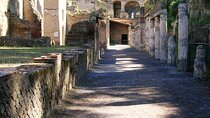 Herculaneum Archaeological Private Tour