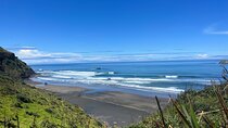Auckland City and West Coast Black Sand Beach Full Day Tour