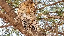 9 Days 8 Nights Walking Safari