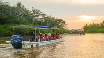 Klias River Safari from Kota Kinabalu