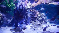 Alexander Waterfall and Antalya Aquarium Day Tour from Side