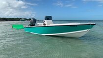 Private Boat Tour to Sand Bar Snorkel Dolphins and Sunset 