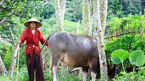 Pu Luong & Ninh Binh 3 Days Group Tour from Hanoi Old Quarter