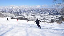 One Way Private Shuttle to Nagano Ski Centers