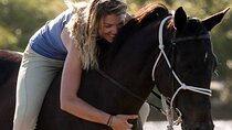 Side Horse Riding On Beach And Through The Forests For 2 Hours