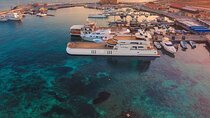 Ocean Vision: All Inclusive International Night Cruise, Bar, Food