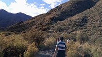 Trekking and Roasting in the Precordillera at Family Ranch