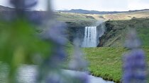 South Coast Adventure Private Tour